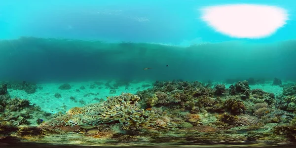 Arrecife de coral y peces tropicales bajo el agua. Filipinas. Realidad virtual 360 — Foto de Stock