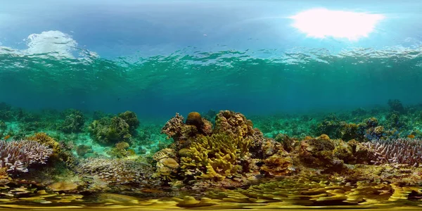 Κοραλλιογενή ύφαλο και τροπικά ψάρια. Φιλιππίνες. Όψη 360 μοιρών. — Φωτογραφία Αρχείου