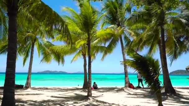 Petite île torpique avec plage de sable blanc, vue sur le dessus. — Video