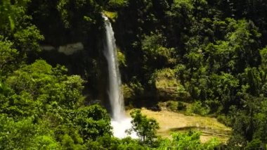 Güzel tropik şelale. Can-umantad Şelalesi, Bohol, Filipinler.