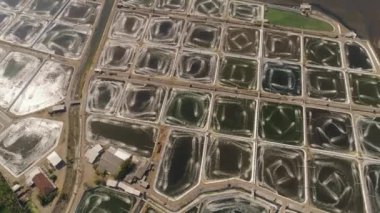 Endonezya 'da karides yetiştiriciliği