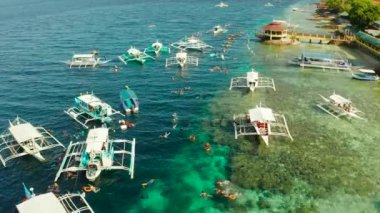 Mercan resiflerinde, Moalboal 'da, Filipinlerde şnorkelle yüzen turistler