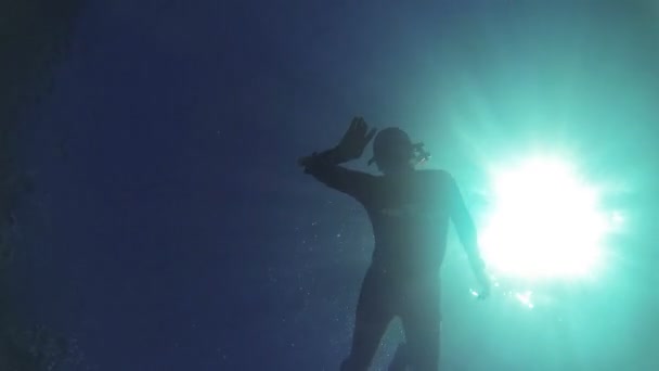 Scuba diver silhouette — Stock Video