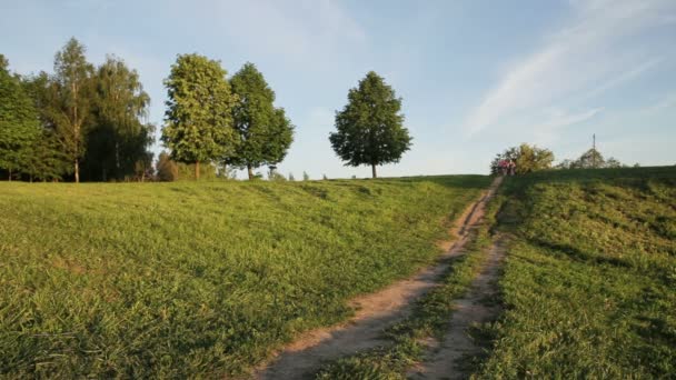 Children ride a bike from a hill in countryside — Stock Video