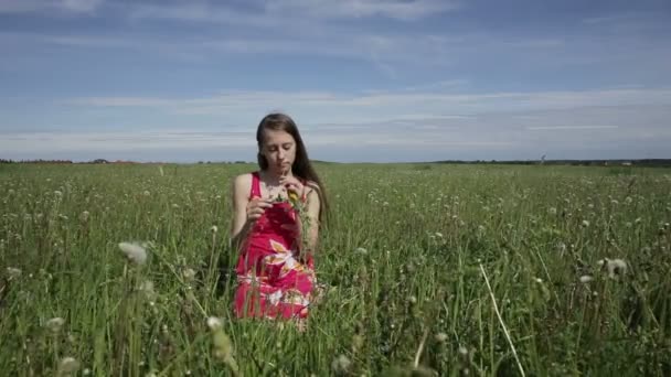 Teenie-Mädchen macht einen Kranz auf der Wiese — Stockvideo