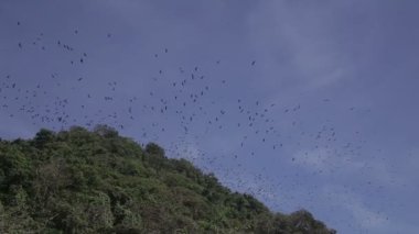 ölçerlerinle Boracay üzerinde uçan tilki