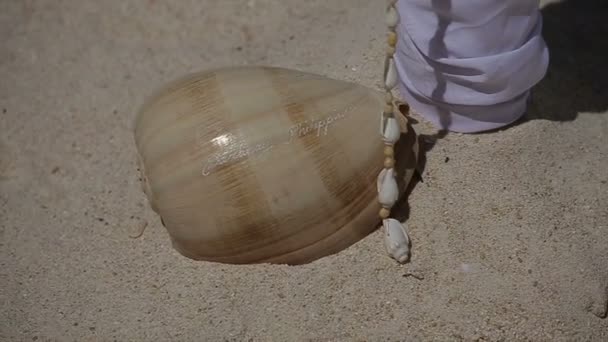 CEREMONIA DE BODAS DE PLAYA — Vídeo de stock