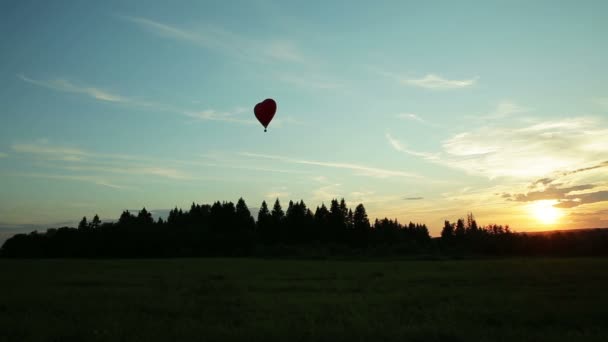 Globos de aire caliente volando sobre árboles puesta del sol — Vídeo de stock