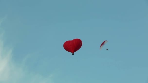 Globos de aire caliente y parapente — Vídeo de stock