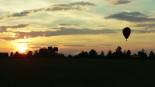 Balões de ar quente voando sobre árvores por do sol — Vídeo de Stock