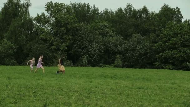 Отец играет с детьми в поле — стоковое видео