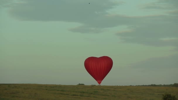 Αερόστατο ζεστού αέρα που πετούν πάνω από το πεδίο στην ύπαιθρο — Αρχείο Βίντεο