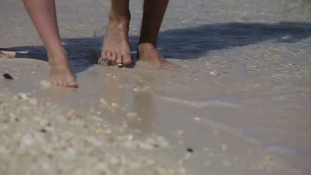 Lábak séta a homokos strand — Stock videók