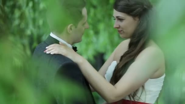 美しい若い結婚式のカップル — ストック動画