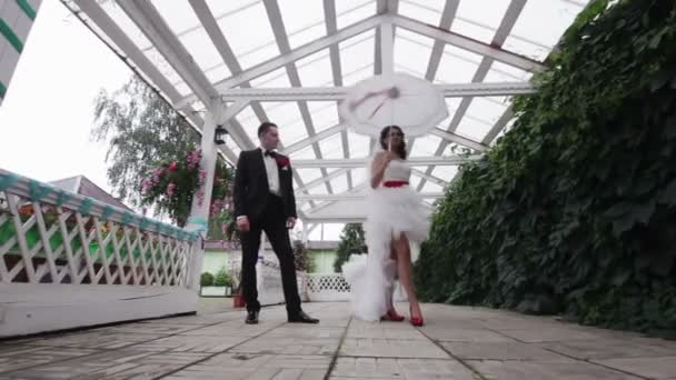 Joyeux couple de mariage — Video