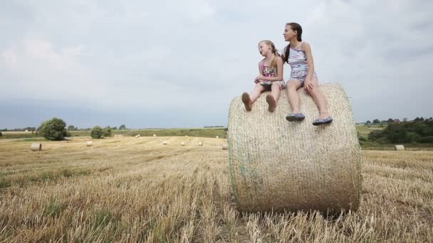 İki kız haystack üzerinde oturur. — Stok video