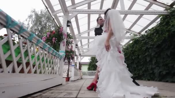 Sposo tiene la sposa tra le braccia  . — Video Stock