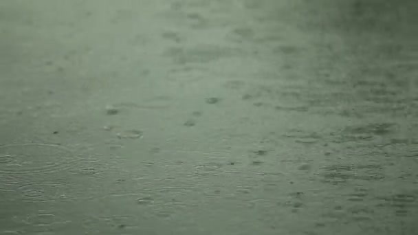 Povrch vody s kapkami deště — Stock video