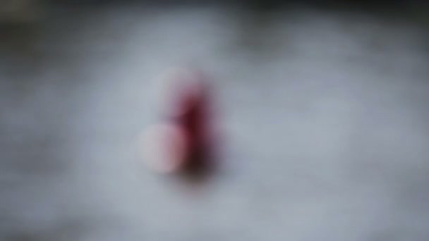 水の上の赤いブイ — ストック動画