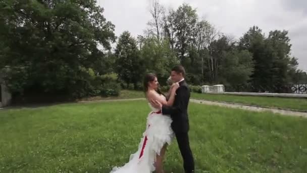 Casal de casamento no parque — Vídeo de Stock