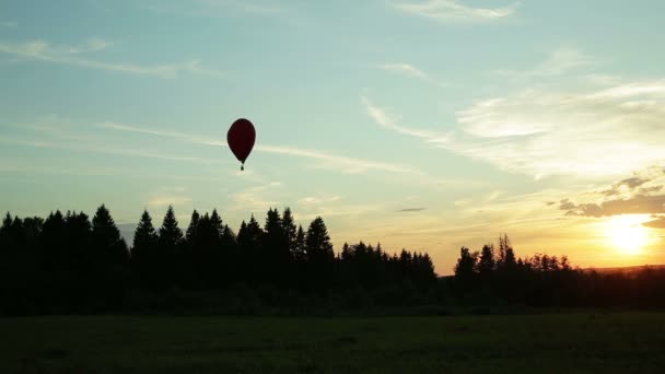 Globos de aire caliente volando sobre árboles puesta del sol — Vídeo de stock