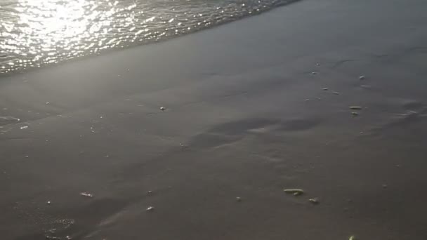 Nogi chodzić na piaszczystej plaży. — Wideo stockowe