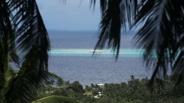 Vista dell'isola tropicale con una bella spiaggia — Video Stock