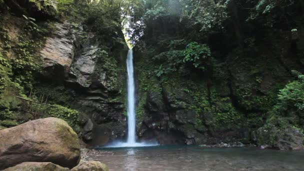 Schöner tropischer Wasserfall. — Stockvideo