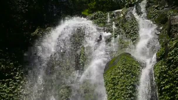 Bela cachoeira tropical. — Vídeo de Stock