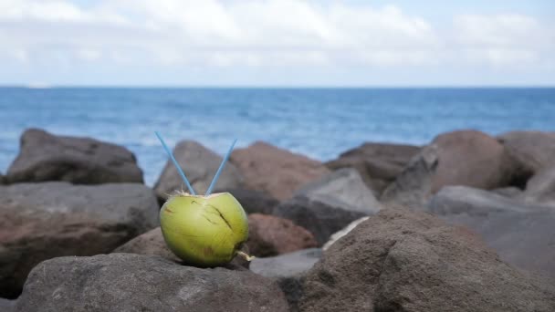 Kokosnöt med dricka halm på klipporna — Stockvideo