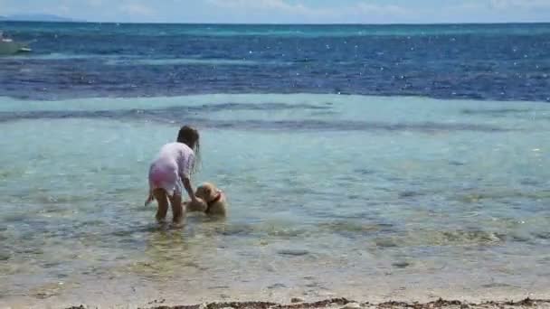 Menina brincando com um cão na praia — Vídeo de Stock