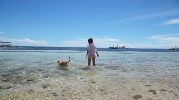 Chica jugando con un perro en la playa — Vídeos de Stock