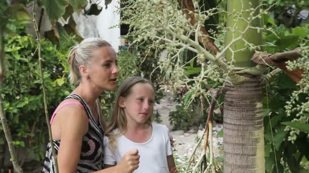 Madre e hija mirando la planta de la rama — Vídeos de Stock