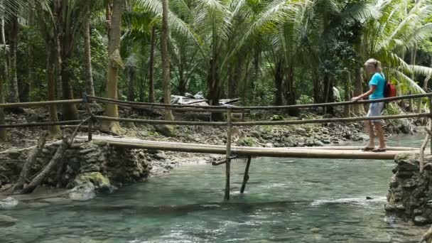 Familia caminando sobre puente en bosque de montaña — Vídeos de Stock