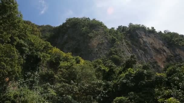 Mountains and rocks with jungle Stock Video