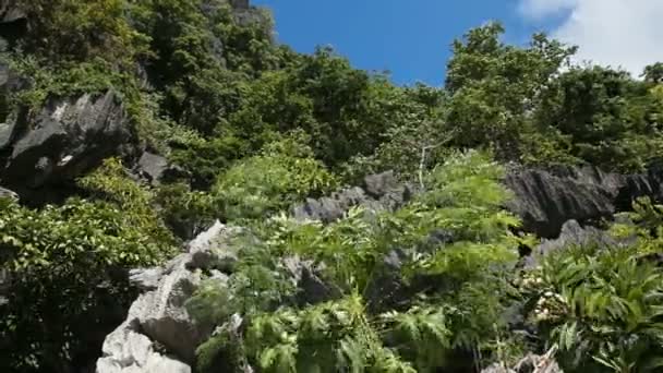 山和岩石与丛林 — 图库视频影像