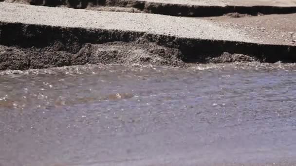 Černý písek sopečná pláž s creek — Stock video