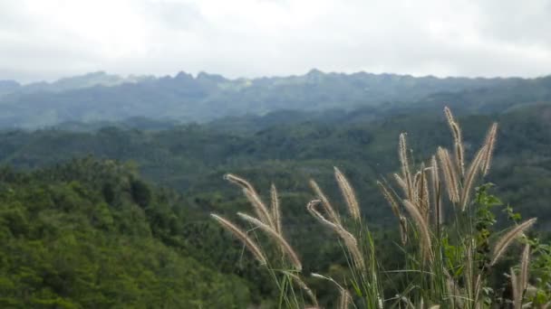 Een panoramisch uitzicht op de bergen van de jungle in Filippijnen — Stockvideo