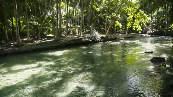 Річка в тропічних лісах в Cebu philippines — стокове відео