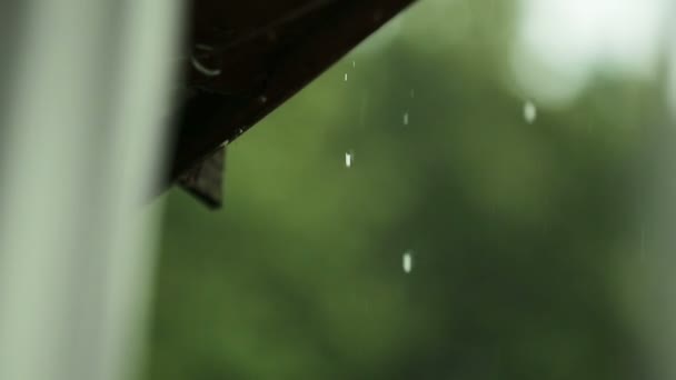 Gotas de chuva caindo do telhado. — Vídeo de Stock