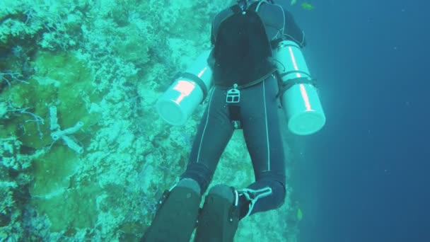 Buceador bajo el agua — Vídeo de stock