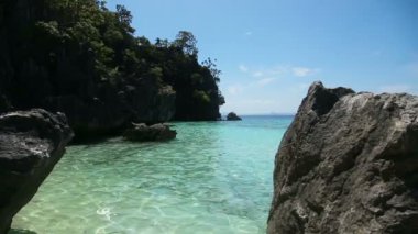 Güzel sahil ve tropikal deniz