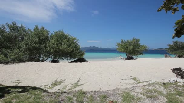 Hermosa playa y mar tropical — Vídeo de stock