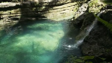 Güzel tropik şelale.