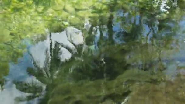 Alberi di cocco riflessi nell'acqua . — Video Stock