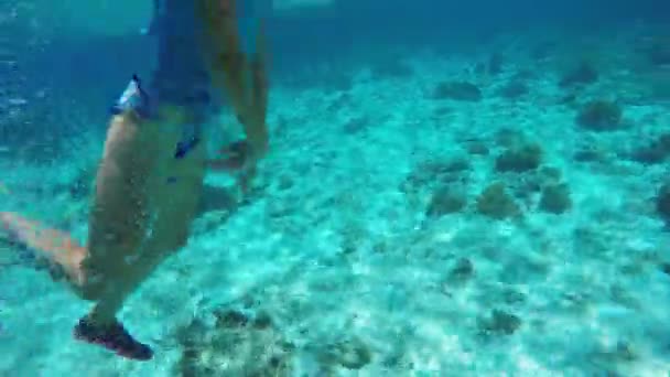 年轻女孩的潜水员 — 图库视频影像