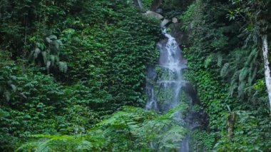 Güzel tropik şelale.