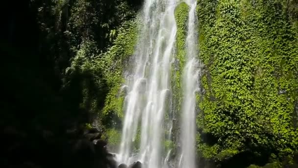 Beautiful tropical waterfall. — Stock Video