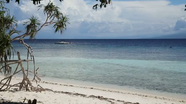 Bella spiaggia e mare tropicale — Video Stock