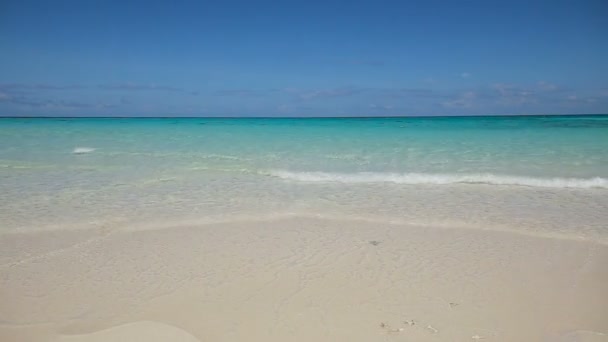 Красивий пляж і тропічне море — стокове відео